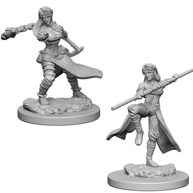 Nolzurs Marvelous Miniatures - Human Monk - Female
